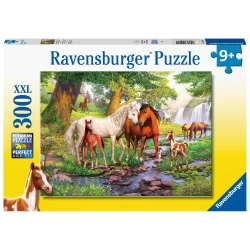 Wilde Paarden Bij De Rivier (300Xxl)