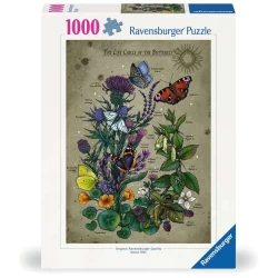 Butterfly (1000) Butterfly (1000)