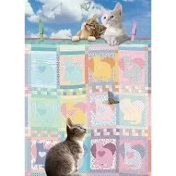 Ch Quilted Kittens Ch Quilted Kittens