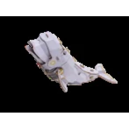 Makebug 3D Modelbouw Beluga Whale Mb-D-0048 18X7X5 Cm
