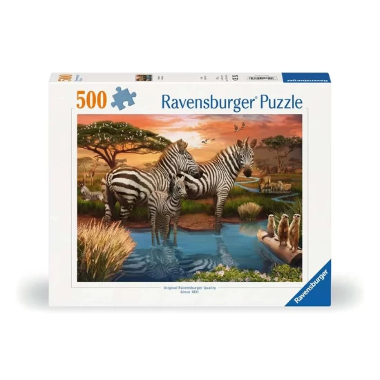Zebra´s Bij De Drinkplaats (500)