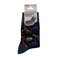 Socks - Dino