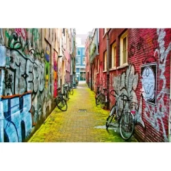 Straat In Amsterdam (3000)